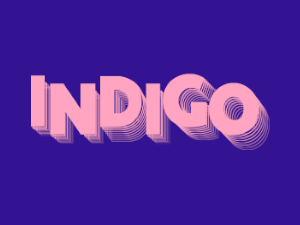 Indigo 2024 Logo
